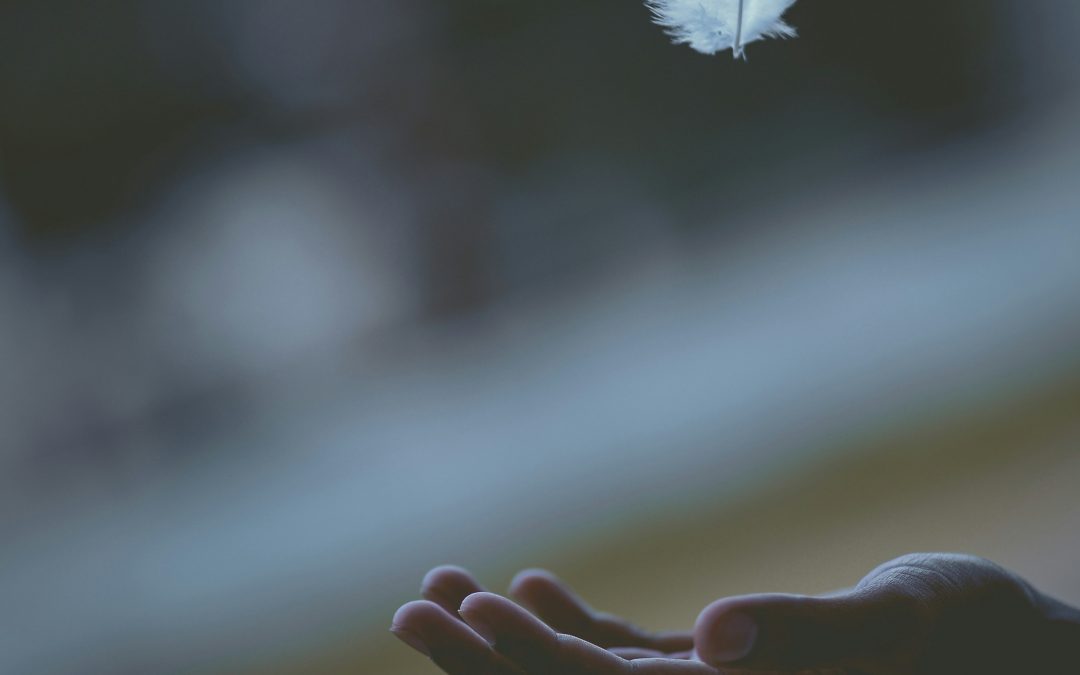 HAIKU JUNIOR results – NZPS International Poetry Competition 2026