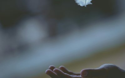 HAIKU JUNIOR results – NZPS International Poetry Competition 2026