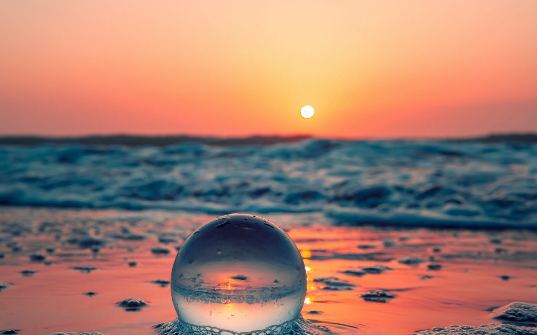 HAIKU results – NZPS International Poetry Competition 2026