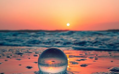 HAIKU results – NZPS International Poetry Competition 2026